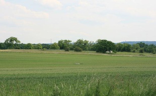 Le territoire de la "Nouvelle France", dans les Yvelines, où l'agence des espaces verts a installé des agriculteurs bio sur une nappe phréatique
