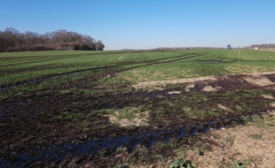 Une fuite d'hydrocarbures s'est propagée au niveau de la commune d'Audouillet, dans les Yvelines.