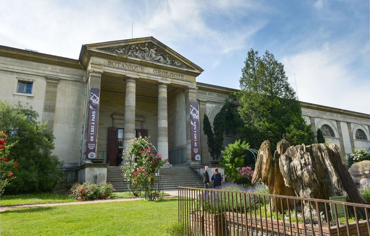 Paris : Des objets précieux en or volés au Muséum national d’histoire...