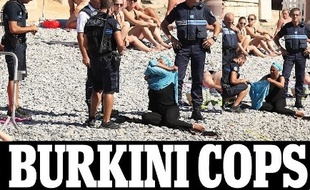 Capture d'écran du tweet du Daily Mail.