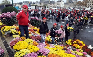 Les «bonnets rouges» ont disposé des chrysanthèmes sur la place de la Résistance, à Quimper (Finistère), ce samedi 2 novembre.