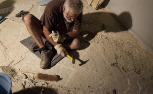 Un volontaire travaille dans le site archéologique de Crayssac, dans le Lot, le 2 août 2015