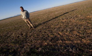 Sur des hectares, des cultures à peine sorties de terre et déjà perdues, d'autres parcelles abandonnées faute d'eau. Dans les plaines d'Aragon, dans le nord de l'Espagne, la campagne scrute désespérément le ciel, dans l'espoir d'y voir revenir la pluie.
