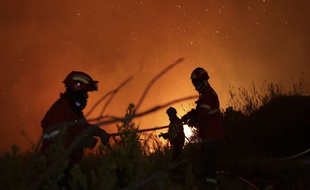 Des pompiers luttent contre un incendie près d'Obidos, au Portugal, le 16 octobre 2017 (illustration).