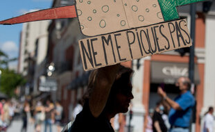 Manifestation contre le pass sanitaire (détail)