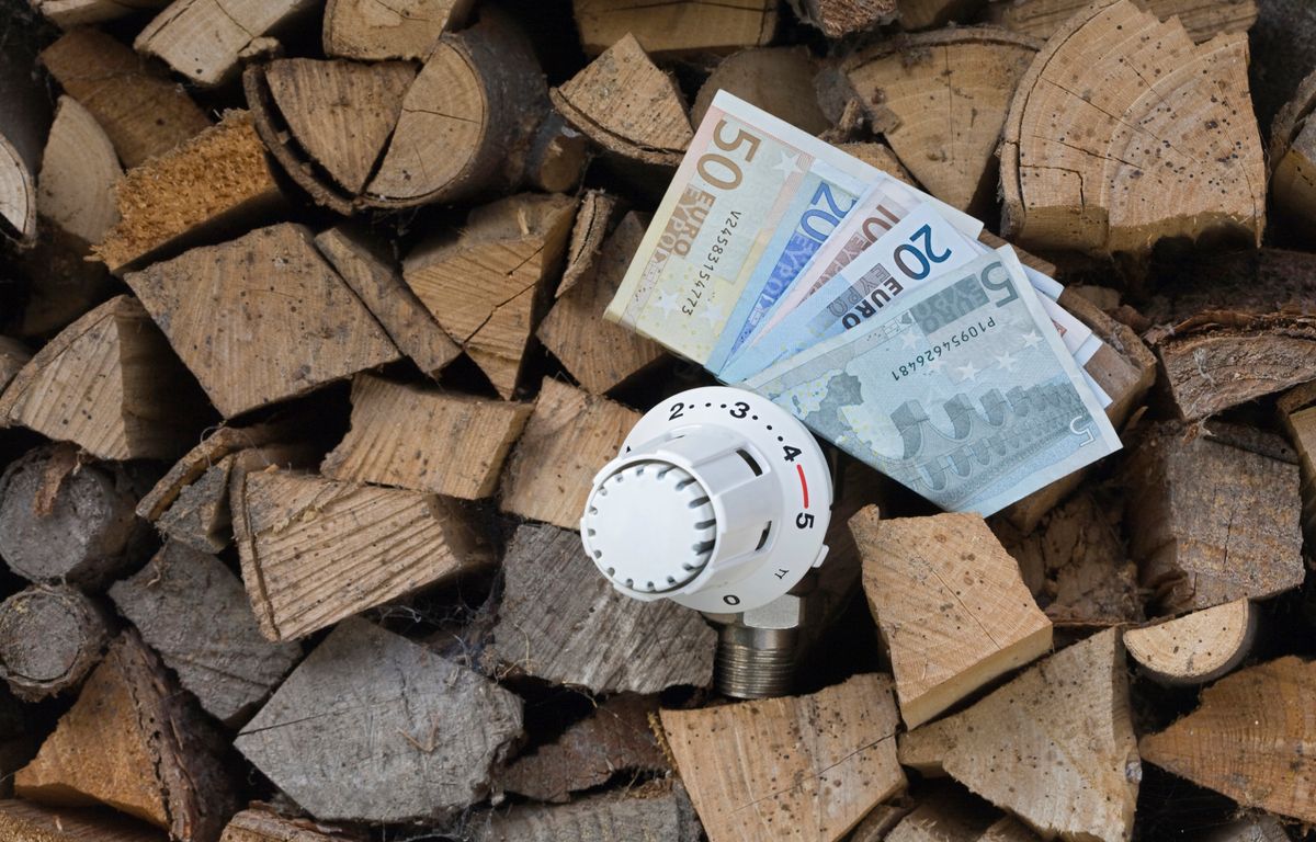 Crise de l'énergie : Les Français qui se chauffent au bois pourront toucher jusqu'à 200 euros