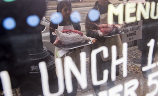 Des manifestants de la Peta portent de fausses oies mortes pour protester contre une