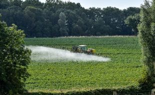 Le journaliste Fabrice Nicolino sort, ce jeudi 12 septembre, "Le crime est presque parfait" (ed. Les Liens qui Libèrent), un livre-enquête sur les fongicides SDHI utilisés en agriculture.