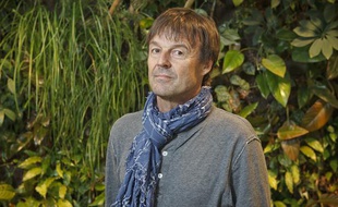 Nicolas Hulot au siège de sa fondation à Boulogne, le 19 avril 2013.