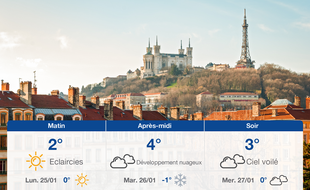 Météo Lyon: Prévisions du dimanche 24 janvier 2021