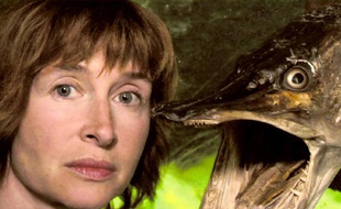 Poursuivie par des visions de brochet, l'actrice Anne Brochet va à la rencontre de ses pairs, affligés de nom d'animaux, dans le docu-fiction «Brochet comme le poisson».