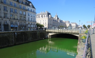 Lundi matin, la Vilaine était verte fluo en raison d'une action des agents de l'environnement.
