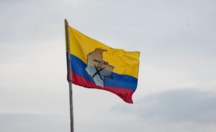 Quatre employés chinois d'une compagnie pétrolière ont été libérés dans le sud de la Colombie, où ils avaient été pris en otage il y a plus d'un an par des membres présumés de la guérilla des Farc, a-t-on appris jeudi auprès de l'ambassade de Chine à Bogota.