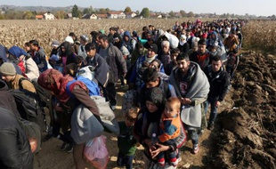 Migrants et réfugiés sont escortés par des policiers slovènes pour gagner un camp d'hébergement après avoir passé la nuit dehors le 26 octobre 2015 près de Rigonce