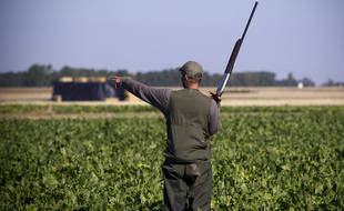 Un chasseur (illustration).