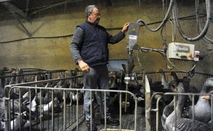 Les professionnels français du foie gras, qui viennent de subir l'affront d'une interdiction en Californie, au nom du bien-être animal, souffrent sur la plupart des marchés anglo-saxons pour les mêmes raisons mais se consolent avec des succès en Asie.