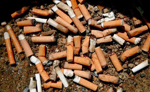 Des mégots de cigarettes.