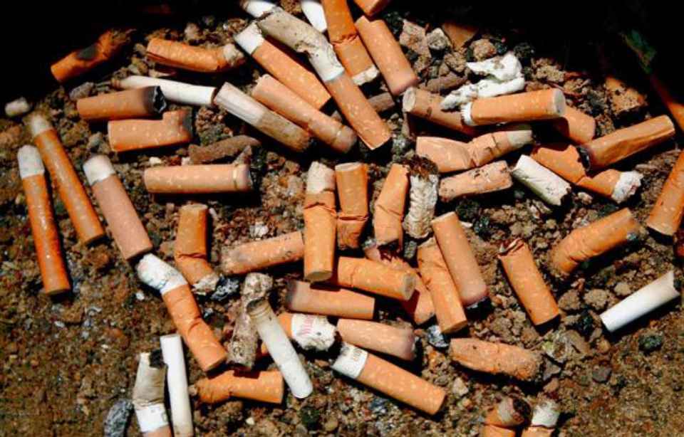 Les mégots, un fléau (aussi) pour l'environnement Les mégots, un fléau (aussi) pour l'environnement