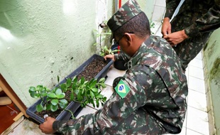 Des militaires brésiliens inspectent les pots de fleurs à la recherche des larves de moustiques susceptibles de transmettre le virus Zika à Brazlandia, à 45 km au nord-ouest de Brasilia, le 15 février 2016