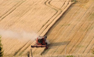 Fournisseur régulier en blé des pays du pourtour méditerranéen, la France voit sa compétitivité s'effriter au profit des pays de la Mer Noire, à cause d'un taux de protéines insuffisant pour les importateurs.