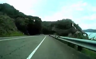 Un cycliste percute un cerf en pleine descente