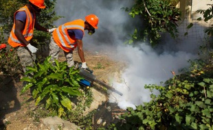 Opération de fumigation contre les moustiques du genre Aedes aegypti ou Aedes albopictus (moustique tigre), vecteur de propagation du virus Zika, le 23 janvier 2016 à Saint Domingue