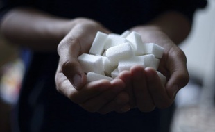 En un siècle, la consommation de sucre en France est passée de 1 à 35 kilos par an et par personne.