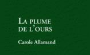 La plume de l'ours