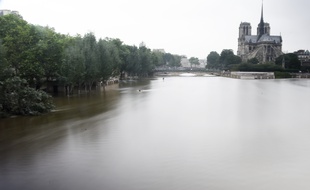 La Seine avec en toile de fond la cathédrale Notre-Dame, à Paris, le 4 juin 2016.
