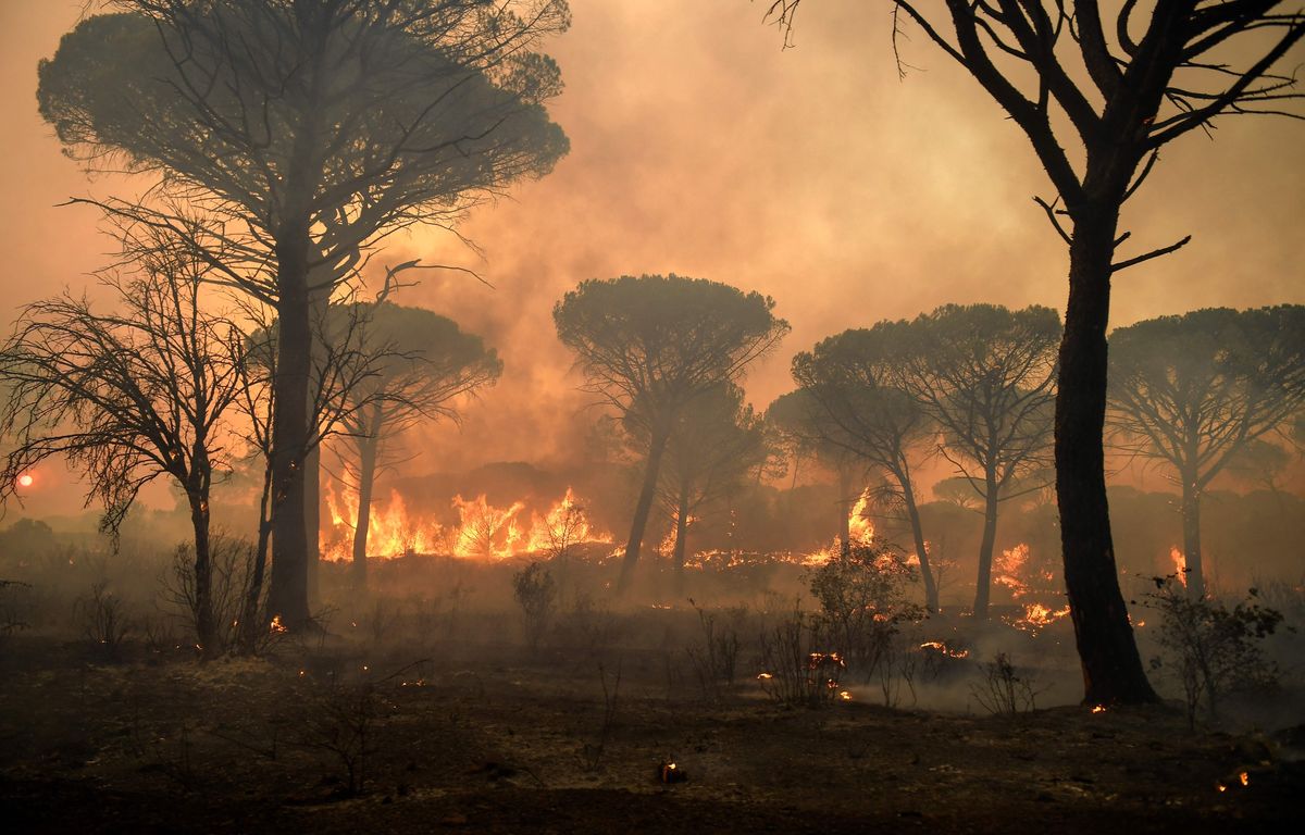 Incendie En Cours Aujourdhui Var Incendie dans le Var : Actualités, vidéos, images et infos en direct - 20  Minutes