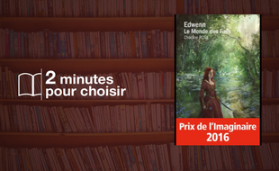Edwenn, le Monde des Faës