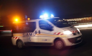 Trois enfants étaient hospitalisés lundi matin à l'hôpital Pellegrin de Bordeaux, infectés pour au moins l'un d'entre eux par la bactérie pathogène E.coli, suite à une intoxication en lien avec la consommation de steaks hachés.