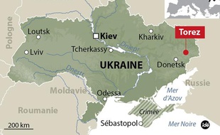 Un avion de Malaysian Airlines s'écrase en Ukraine, le 17 juillet 2014.