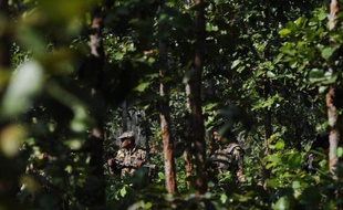 Au moins 21 maoïstes indiens ont été tués lors d'une série d'affrontements vendredi avec les forces de sécurité dans l'Etat du Chhattisgarh (centre), l'un des bastions de cette rébellion d'extrême-gauche qui dit lutter pour la défense des tribus et des paysans sans terre.