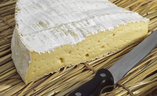 Illustration de brie.