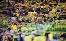 FC Nantes. Un nouveau partenaire arrive pour trois ans
