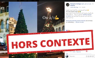 Le sapin d'Héliopolis, en Egypte.