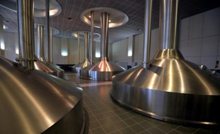 L'usine de bière de Stella Artois (groupe AB InBev) en Belgique