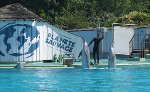 La cité marine de Planète Sauvage