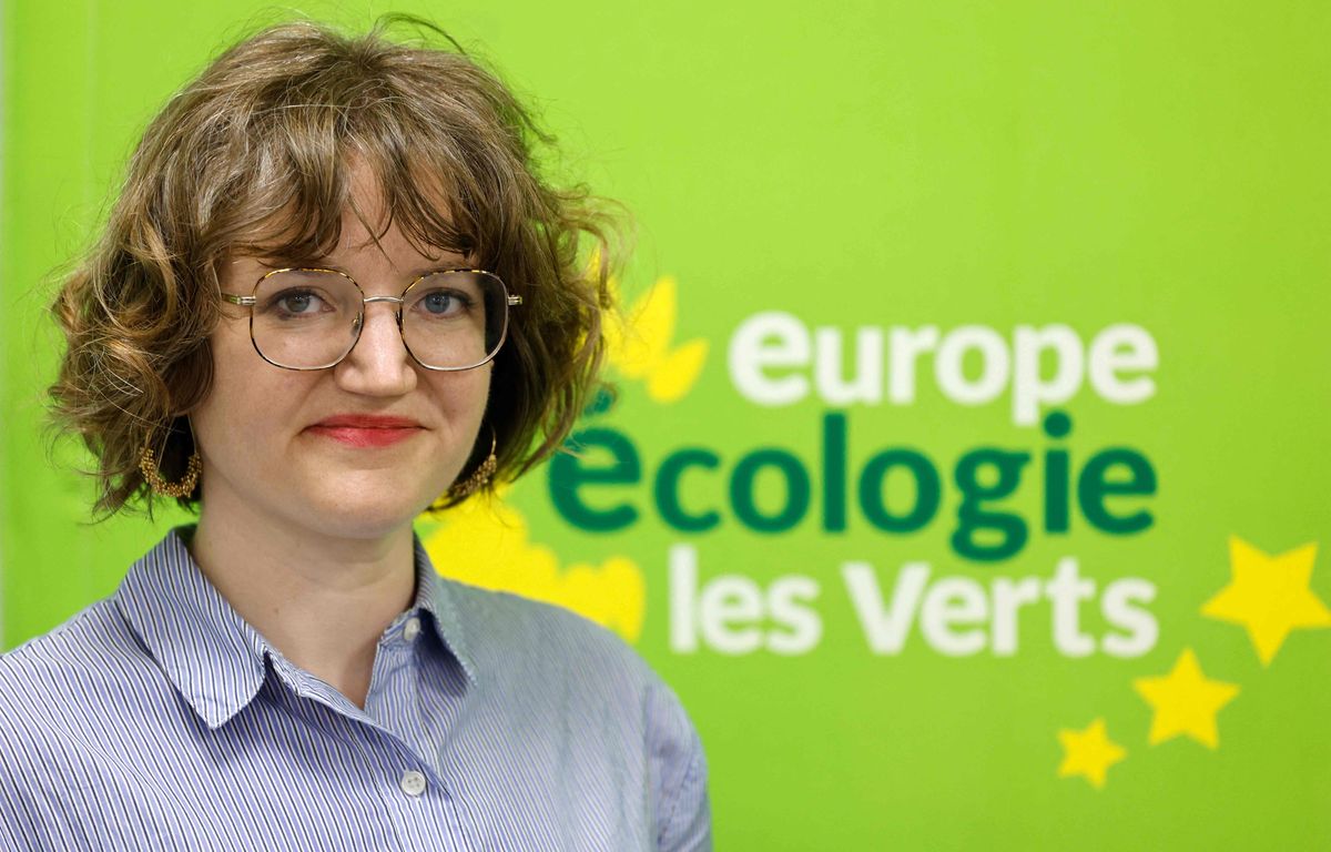 Européennes 2024 : Les écologistes désignent l'eurodéputée Marie Toussaint comme tête de liste