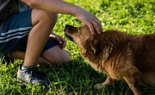 Les enfants vivant avec un chien seraient protégés des risques d'eczéma et d'asthme.