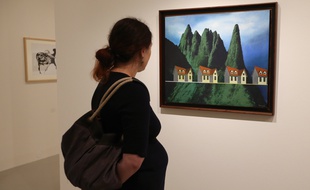 Strasbourg le 14 novembre 2014. Exposition au MAMCS de l'oeuvre de Perahim. Maison ‡ vendre: la loi de la multiplication, 1989