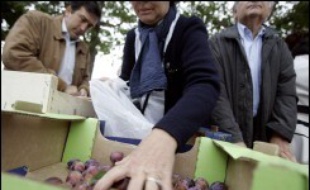 Plusieurs centaines de personnes se sont pressées jeudi matin place de la Bastille pour acheter les 15 tonnes de fruits et légumes vendues directement par des producteurs du Modef, sur initiative du PCF.