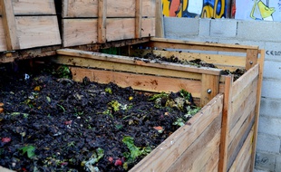 Un bac à compost de l'association les Détritivores.