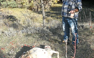 Une attaque, en novembre 2012.