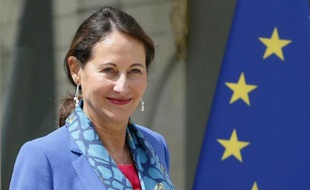 La ministre de l'Ecologie Ségolène Royal à l'issue du Conseil des ministres le 16 juillet 2014