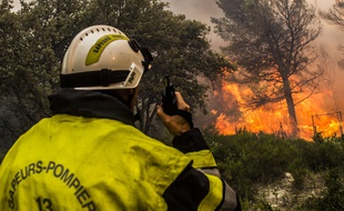 Le feu de Foret est parti de Saint Cannat (pres d Aix en Provence) et a parcouru environ 750 hectares.
Pres de 800 pompiers engages des Bouches du Rhone et des renforts extra départementaux.