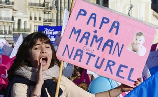 Question complexe, la PMA, actuellement réservée aux couples hétérosexuels qui ne peuvent pas avoir d'enfant pour des raisons médicales, fait l'objet de flottements depuis des semaines au gouvernement et dans la majorité.