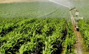 Les agriculteurs s'inquiètent.
