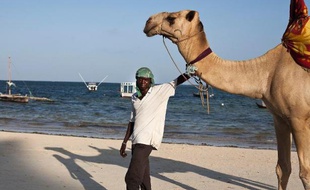 Sur une place de Mombasa au Kenya, un homme propose des virées à chameau, le 22 février 2014